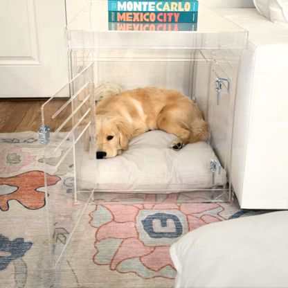 Dog beside Hiddin Medium Clear Pet Crate with silver latch