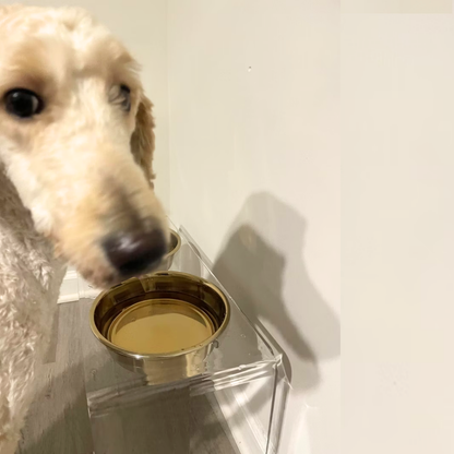 Hiddin Medium Gold Elevated Pet Feeder product detail