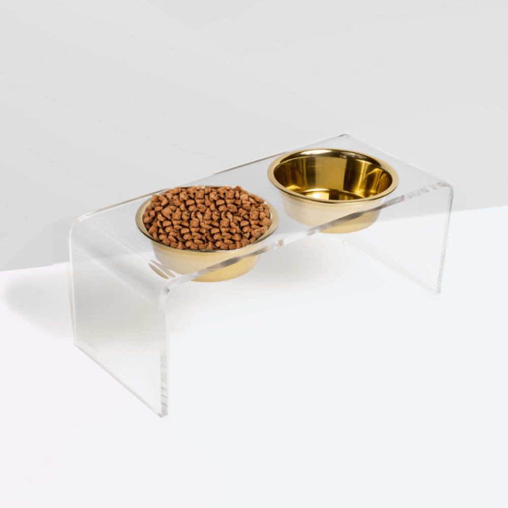 Medium-height Lucite feeder with gold bowls