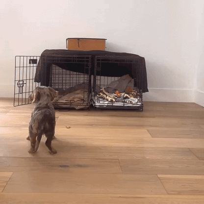 Hiddin medium clear crate configuration demonstration
