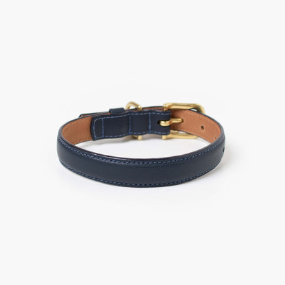 Back view of the Ramona For You Midnight Collar