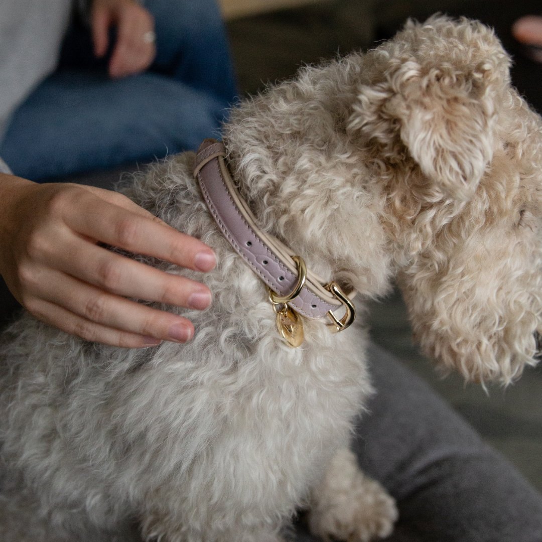 Nina Woof Milan Vegan Leather Dog Collar