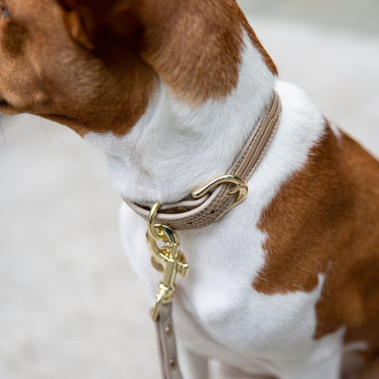 Nina Woof Milan Vegan Leather Dog Collar