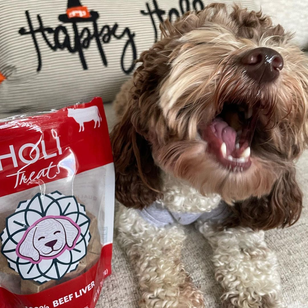 Dog pictured with HOLI Freeze-Dried Beef Liver Dog Treats