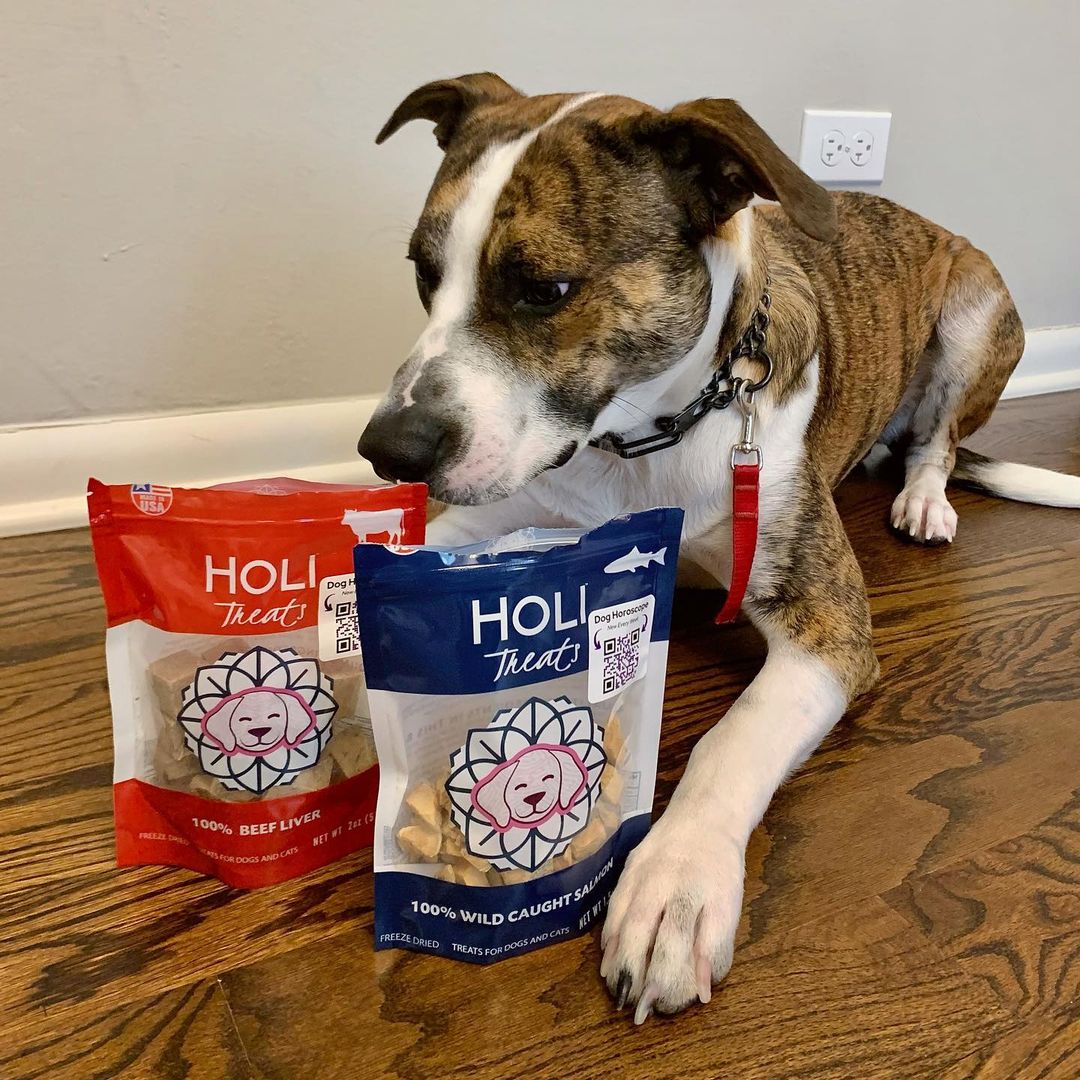 Additional view of Wild Caught Salmon Dog Treats — view 6