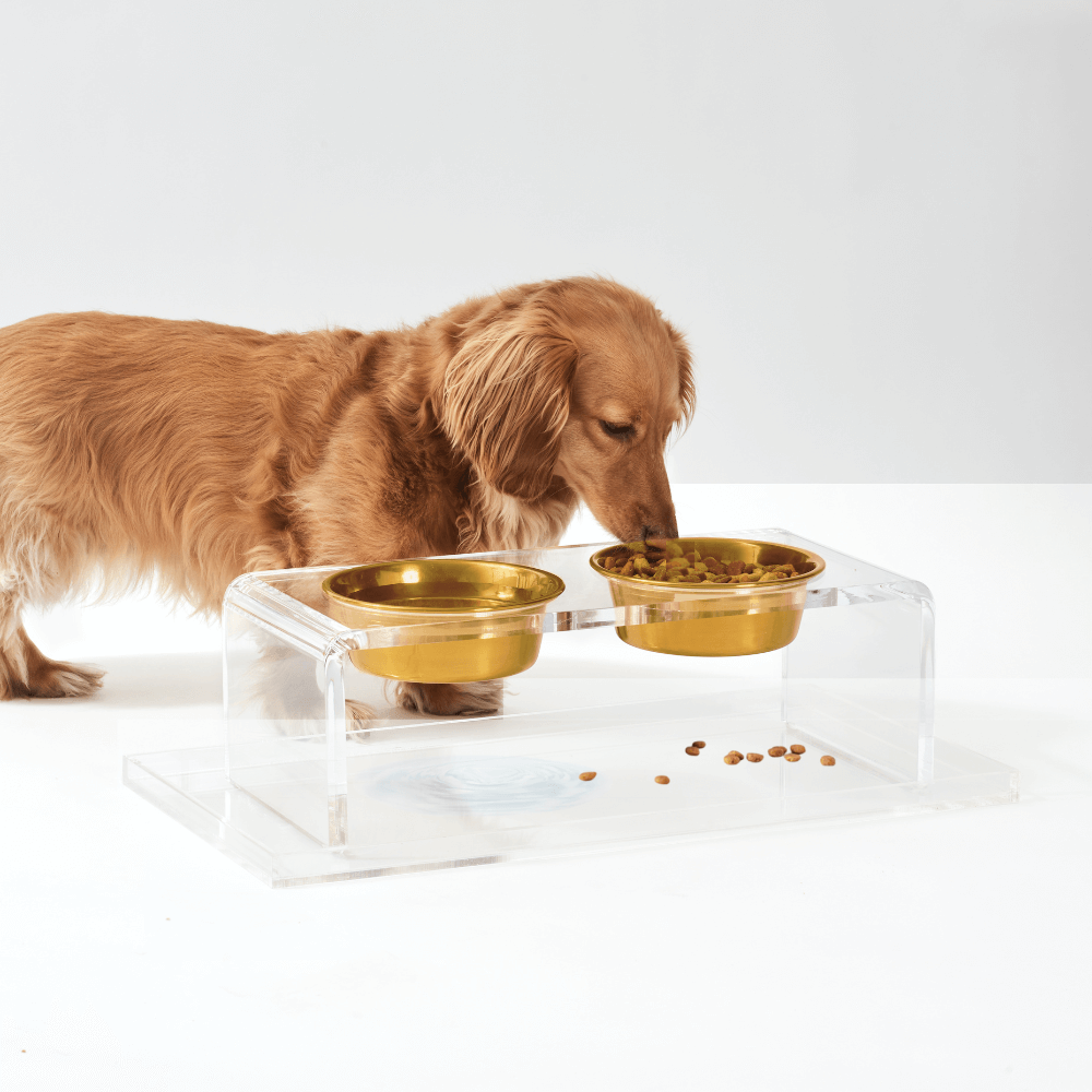 Clear Overflow Feeder Tray