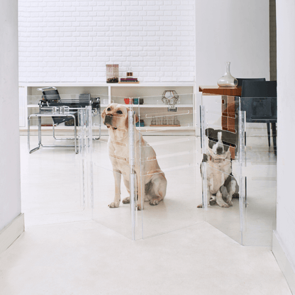 Hiddin clear crate panels configured as a pet gate