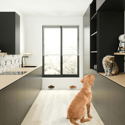 Single silver feeder in a modern kitchen