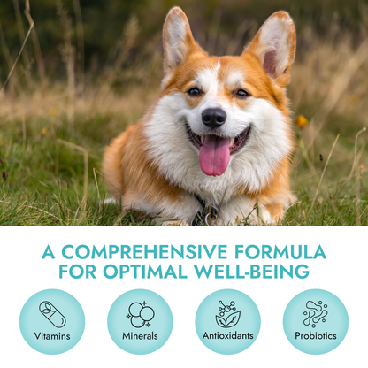 Imagen de características de Pet Vet Products® Premios blandos multifunción para perros - 60 unidades, 2 de 6