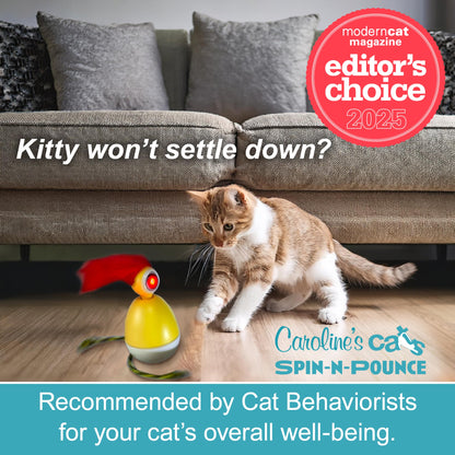 Spin-N-Pounce Rechargeable Interactive Cat Toy product detail 4