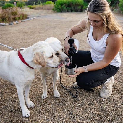Detalle de viaje de HydroPet® Botella portátil de agua para perros - 32 oz