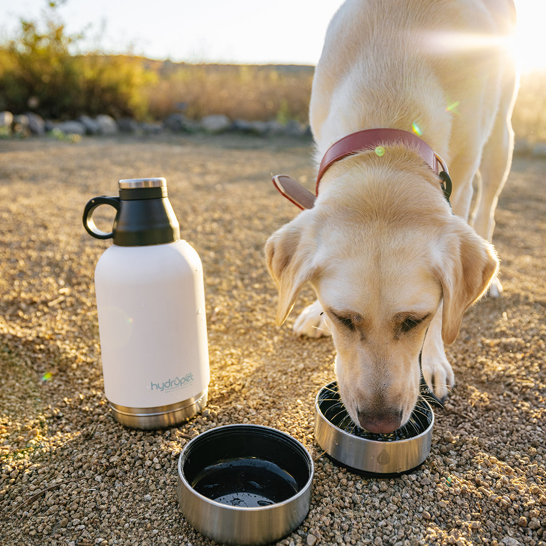 Detalle de viaje de HydroPet® Botella portátil de agua para perros - 32 oz