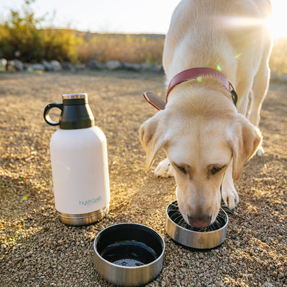 Detalle de viaje de HydroPet® Botella portátil de agua para perros - 32 oz