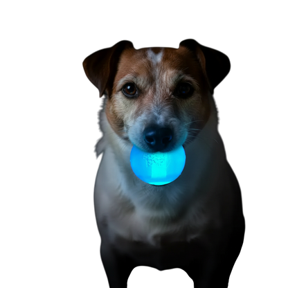 Light-Up Strobe Ball