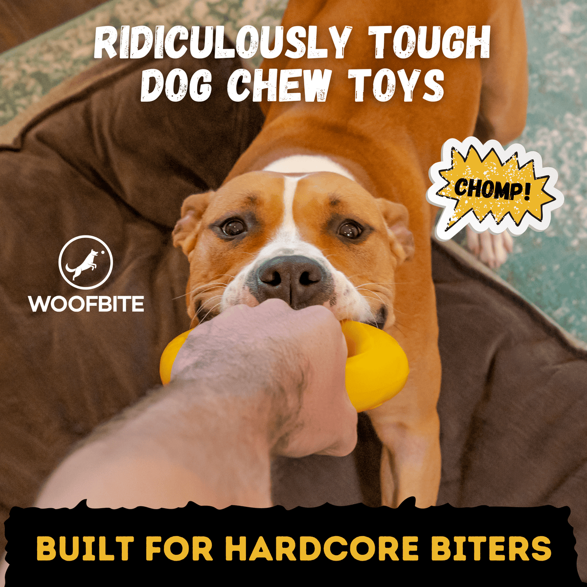 Clutch Ring™ yellow natural-rubber dog toy alternate product view