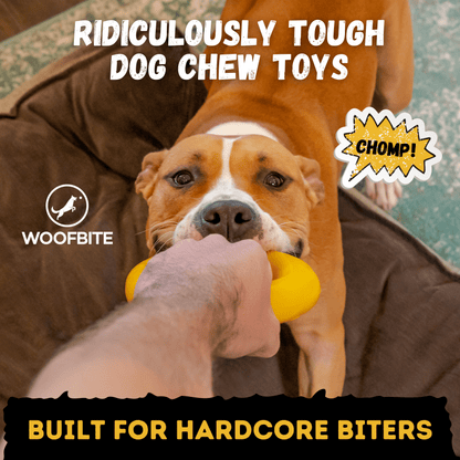 Clutch Ring™ yellow natural-rubber dog toy alternate product view