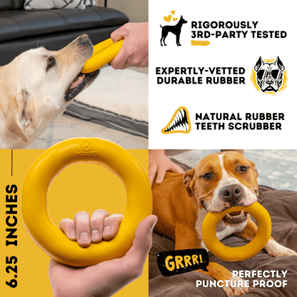 Clutch Ring™ yellow natural-rubber dog toy alternate product view