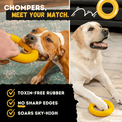 Clutch Ring™ yellow natural-rubber dog toy alternate product view