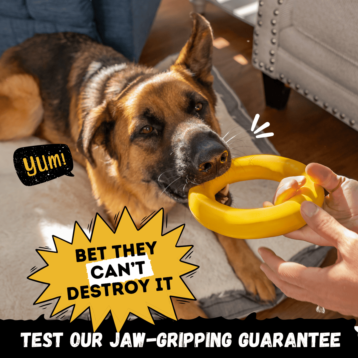 Clutch Ring™ yellow natural-rubber dog toy alternate product view