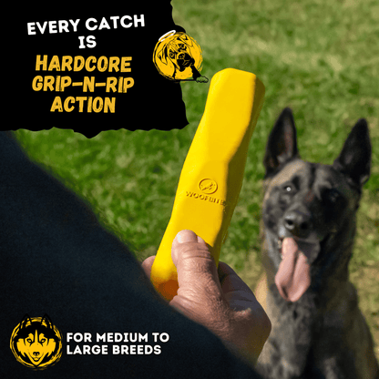 Monster K9 Power Stick rubber dog toy feature image