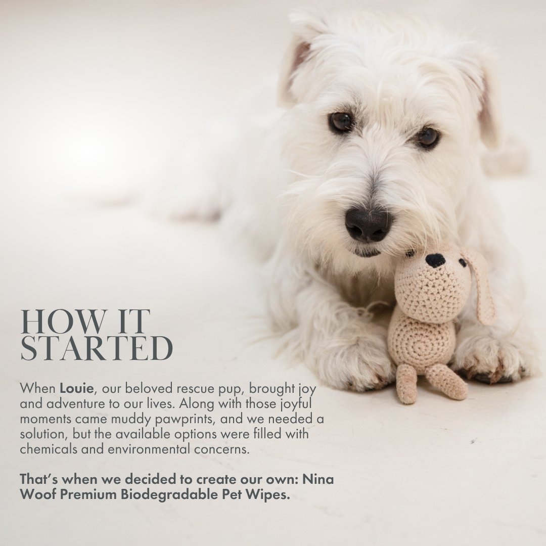 Toallitas biodegradables de origen vegetal para mascotas