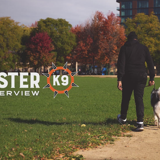 Video demonstrating the Rumble Ball by Monster K9 Dog Toys.