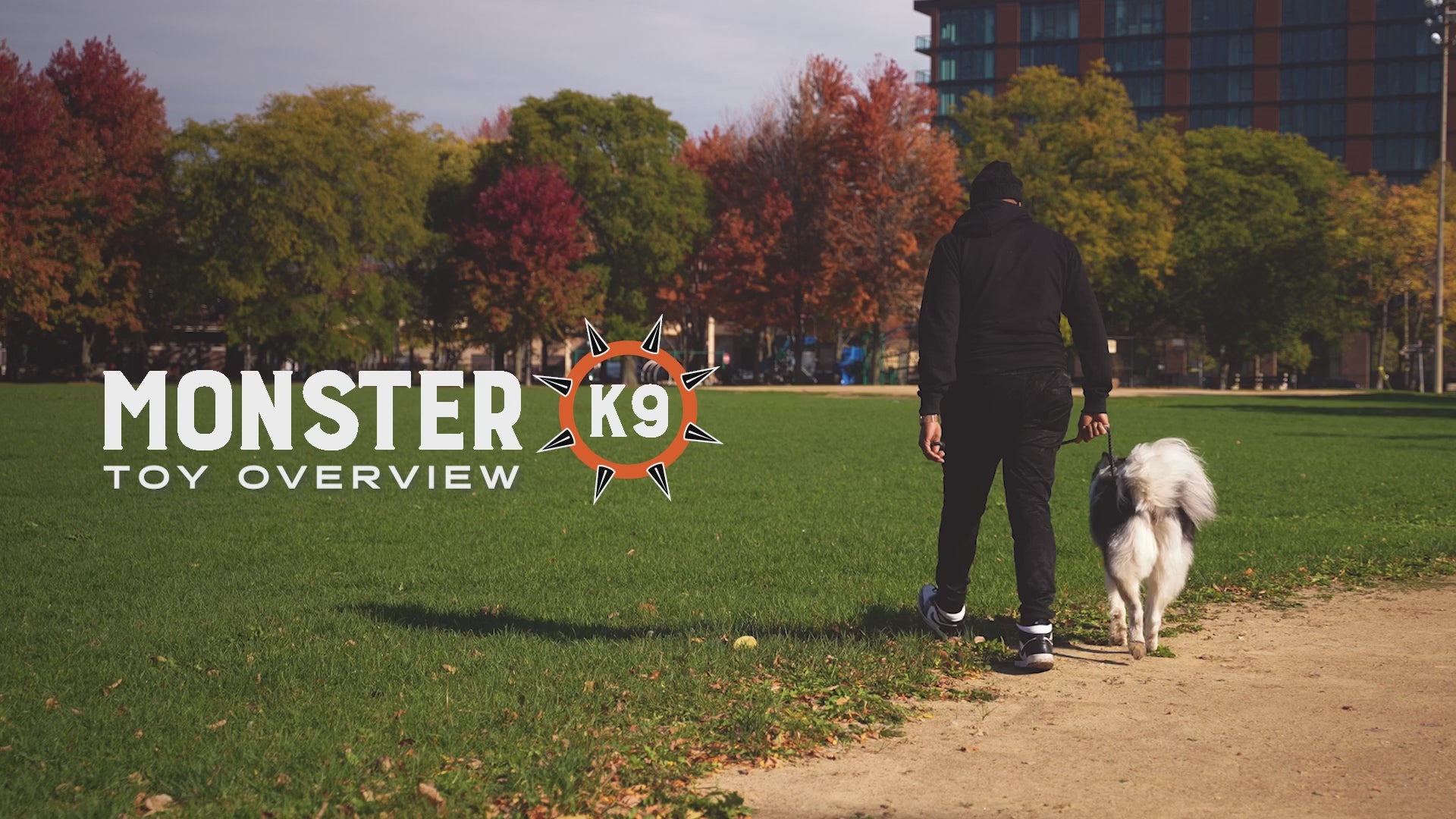 Video demonstrating the Rumble Ball by Monster K9 Dog Toys.