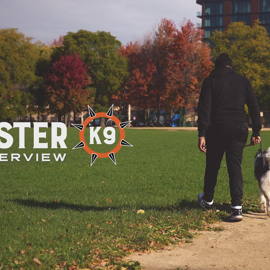 Video demonstrating the Ring Ball by Monster K9 Dog Toys.