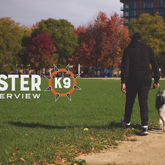 Video demonstrating the Chew Ring by Monster K9 Dog Toys.