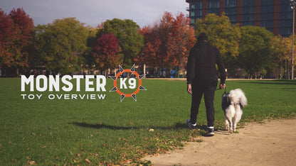 Video demonstrating the Chew Ring by Monster K9 Dog Toys.