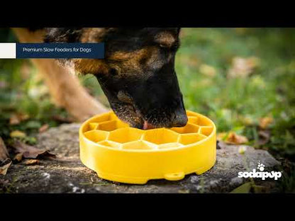 Deep Slow-Feeder Dog Bowl - Honeycomb