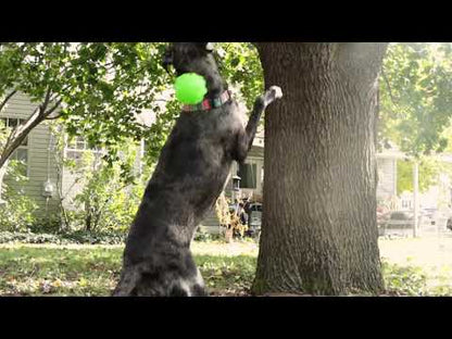 Video demonstrating the Tree Tugger by Jolly Pets.
