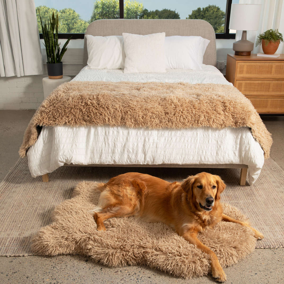 Dog resting on PupRug Luxe Plush Sheep orthopedic bed
