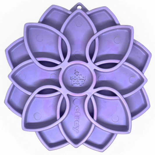 Shallow Slow-Feeder Dog Bowl - Mandala
