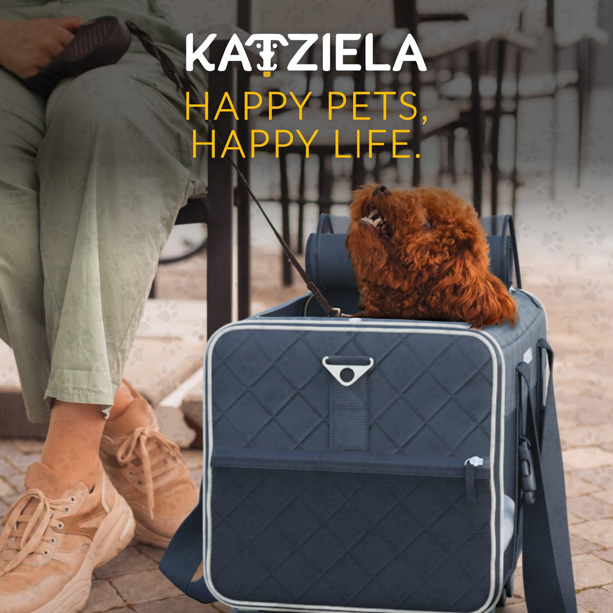 Quilted Chariot pet carrier shown with rolling handle