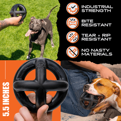 Dog toy with text highlighting features, shown being used by dogs outdoors.