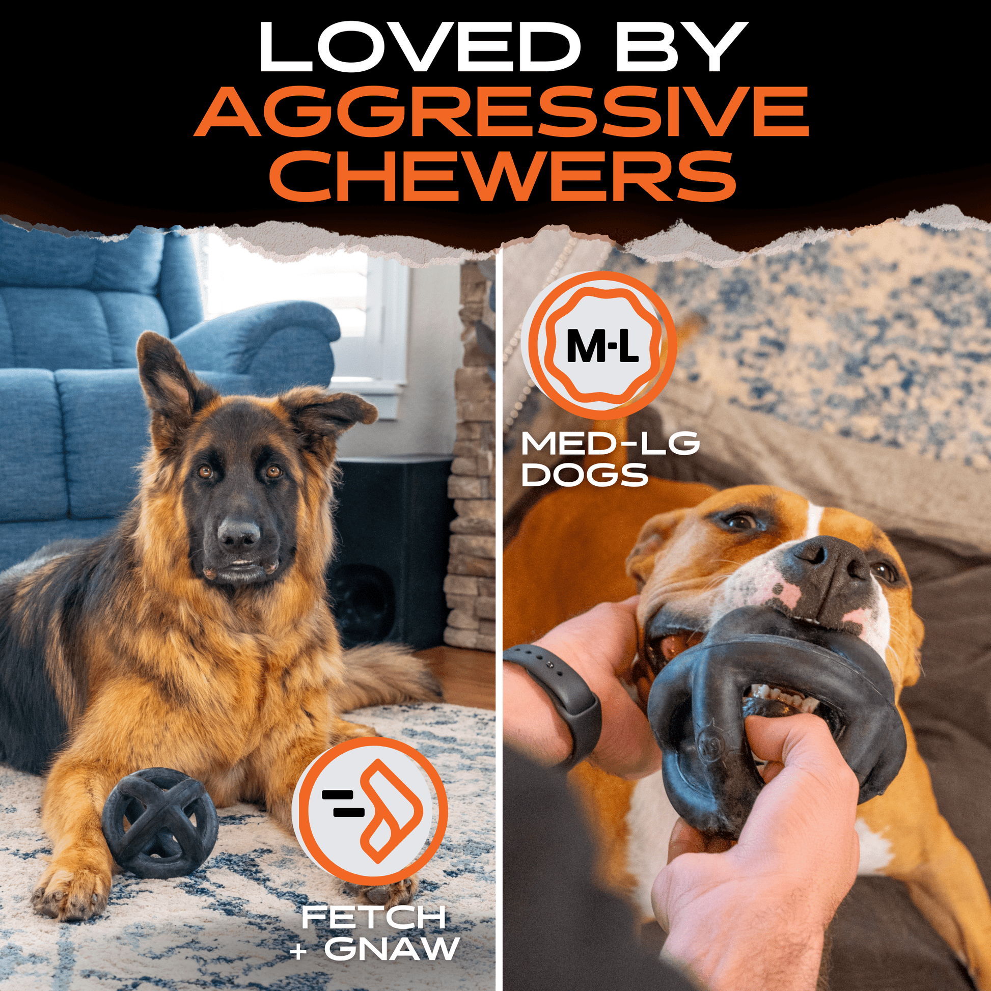 Dog with a chew toy and text 'Loved by Aggressive Chewers' with Fetch + Gnaw branding.