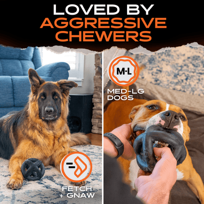 Dog with a chew toy and text 'Loved by Aggressive Chewers' with Fetch + Gnaw branding.