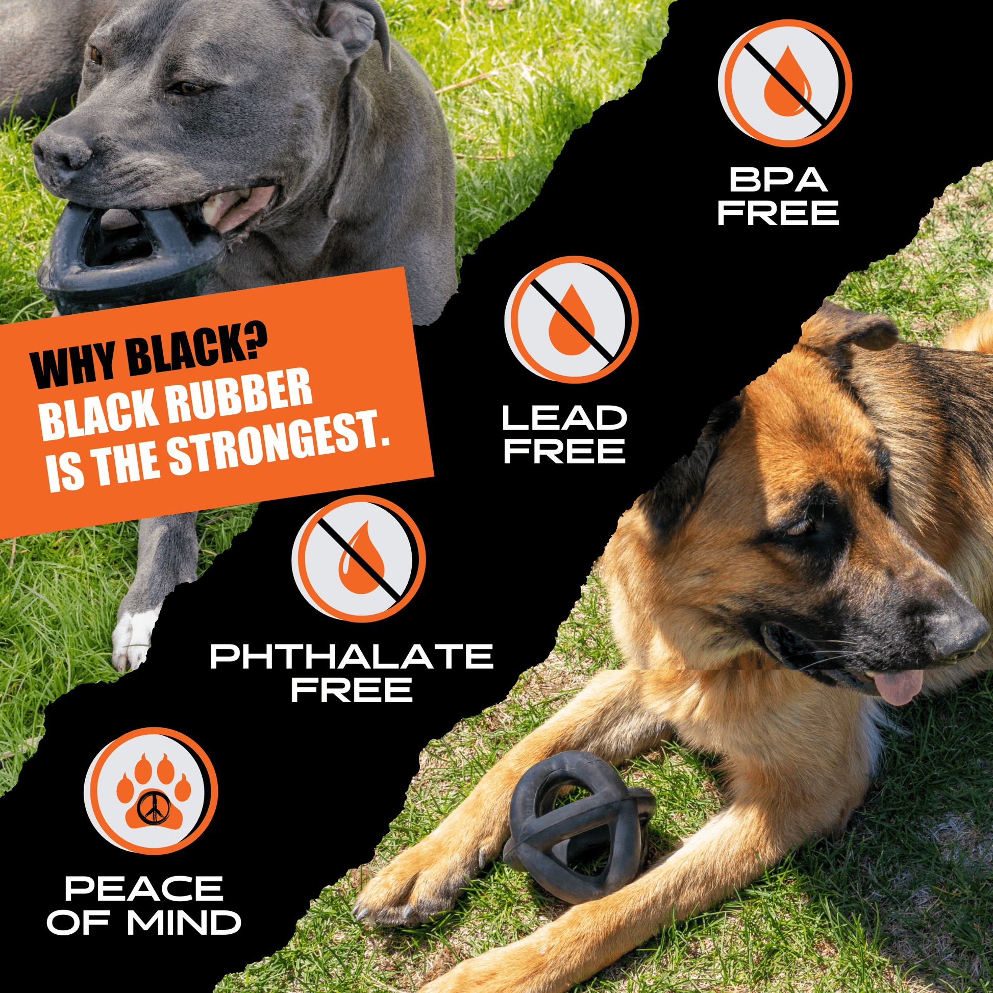 Two dogs with a black rubber toy, surrounded by text and icons indicating product features.