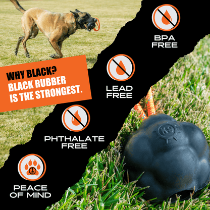 Dog playing with a black rubber toy on grass, with product safety features highlighted.