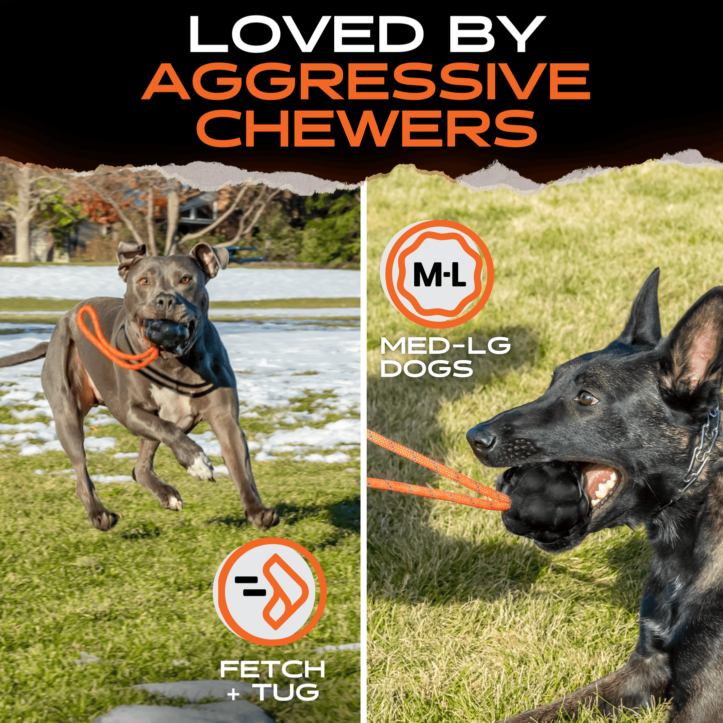 Two dogs playing with a rope toy outdoors, with text indicating it's loved by aggressive chewers and suitable for medium to large dogs.