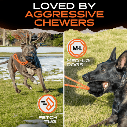 Two dogs playing with a rope toy outdoors, with text indicating it's loved by aggressive chewers and suitable for medium to large dogs.