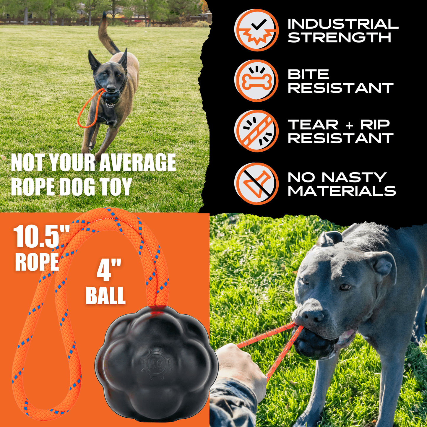 Dog toy with rope and ball, featuring text on durability and features, with dogs playing outdoors.