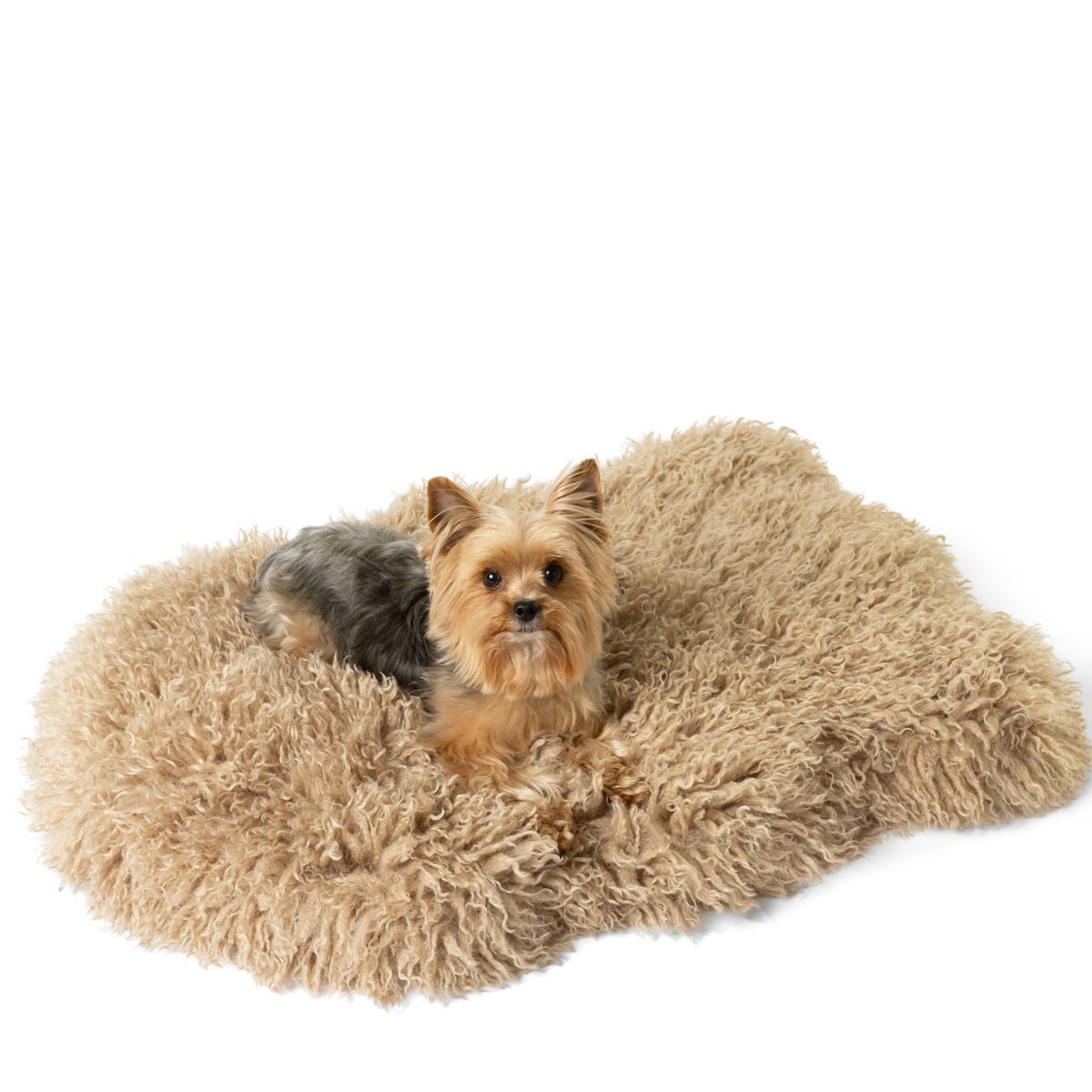 Small PupRug Luxe Plush Sheep Tan dog bed