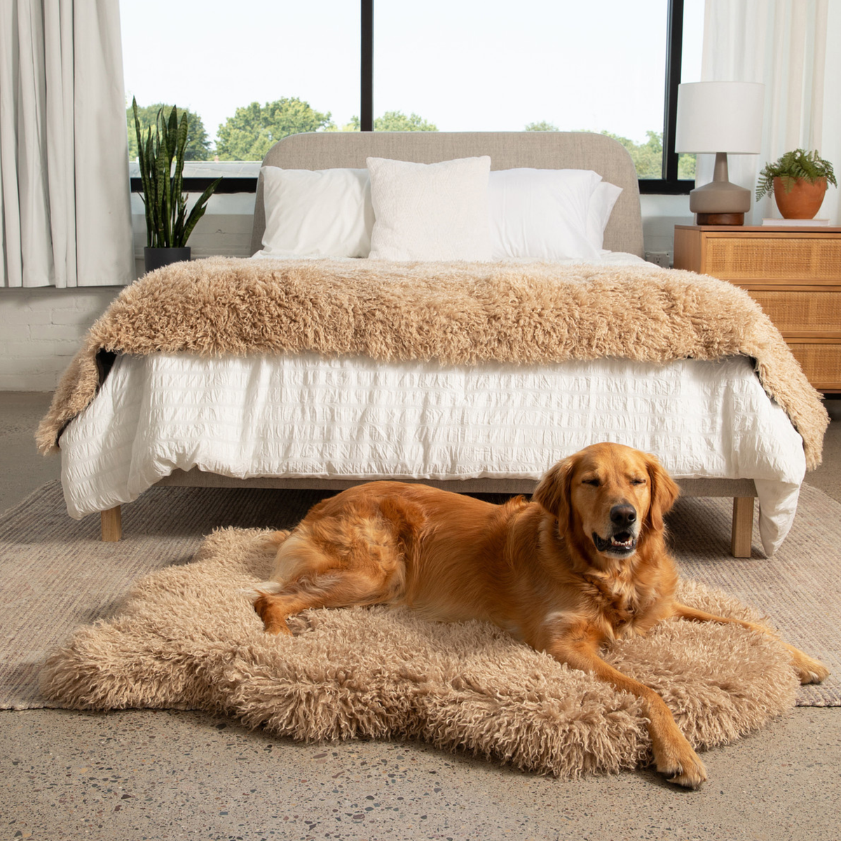 Paw.com PupRug Luxe Plush Sheep Tan dog bed product view