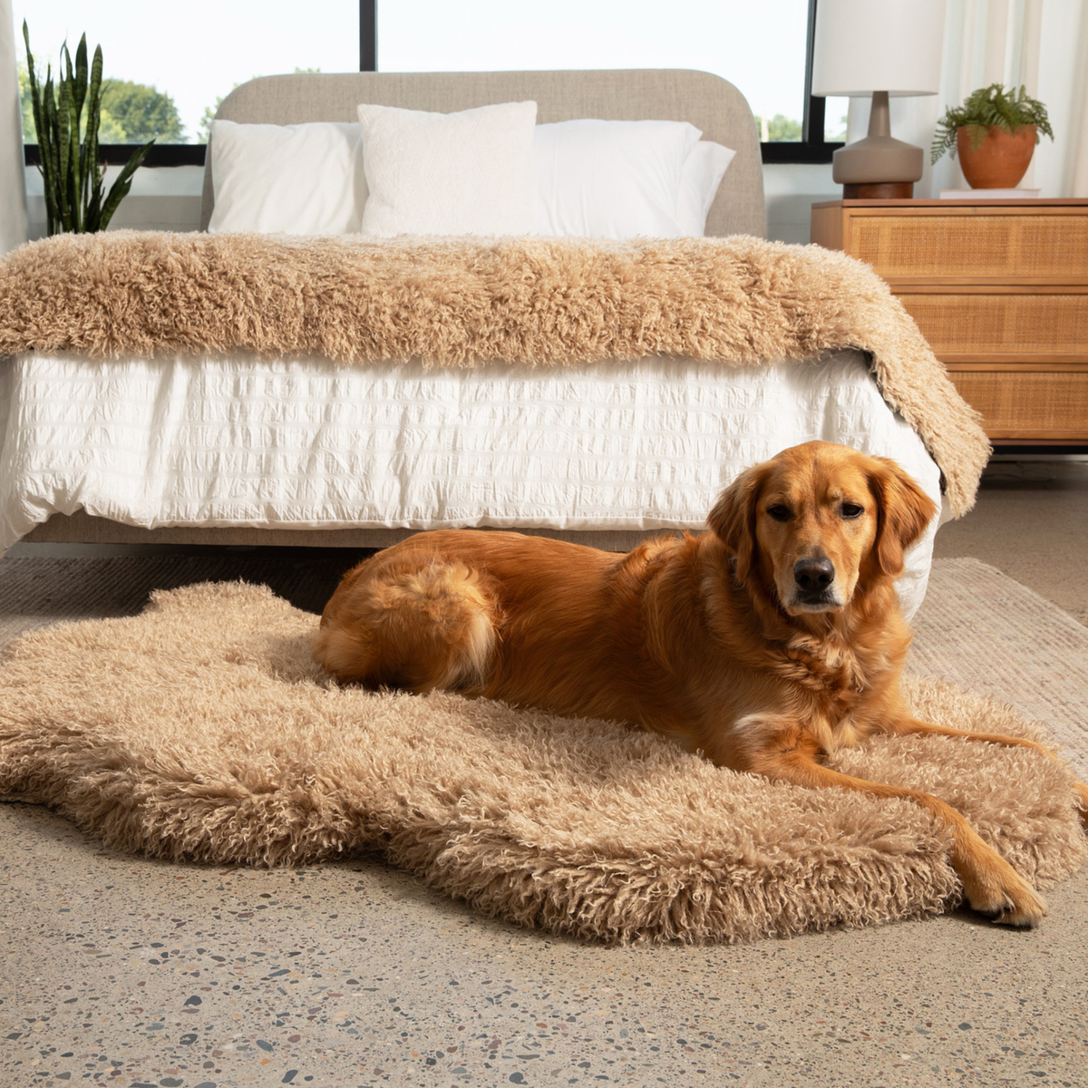PupRug Luxe Faux Fur Orthopedic Dog Bed in Plush Sheep Tan