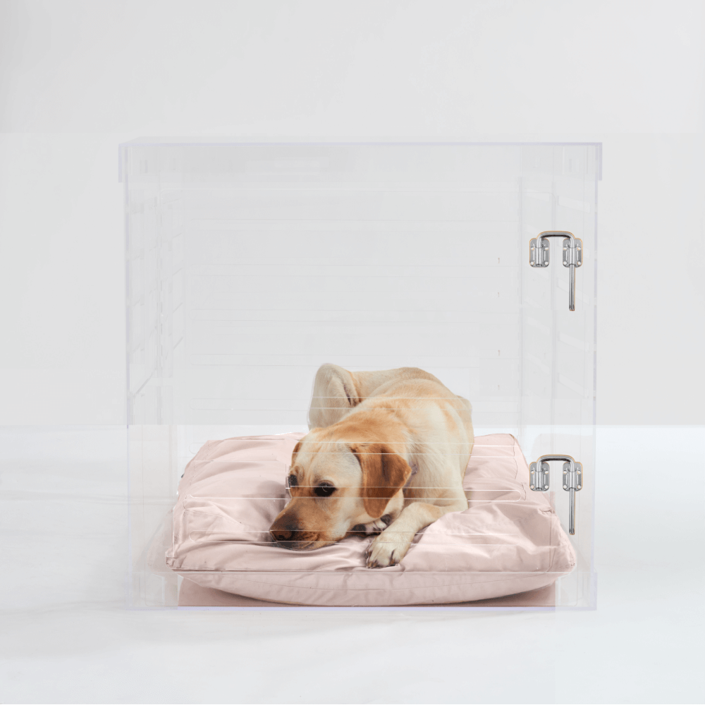 Hiddin Large Clear Pet Crate - Silver Latch