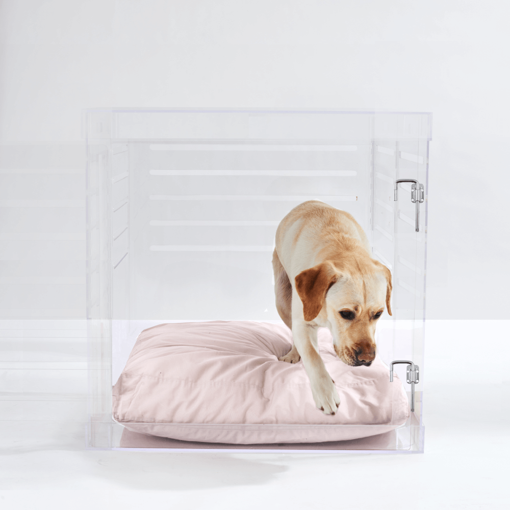 Hiddin Large Clear Pet Crate - Silver Latch with Blush cushion