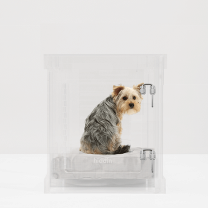 Hiddin Small Clear Pet Crate with silver latch