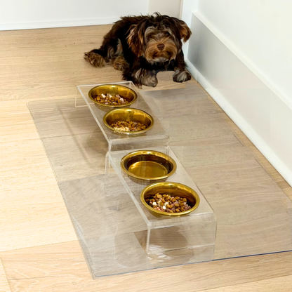 Small clear Hiddin feeder with gold bowls